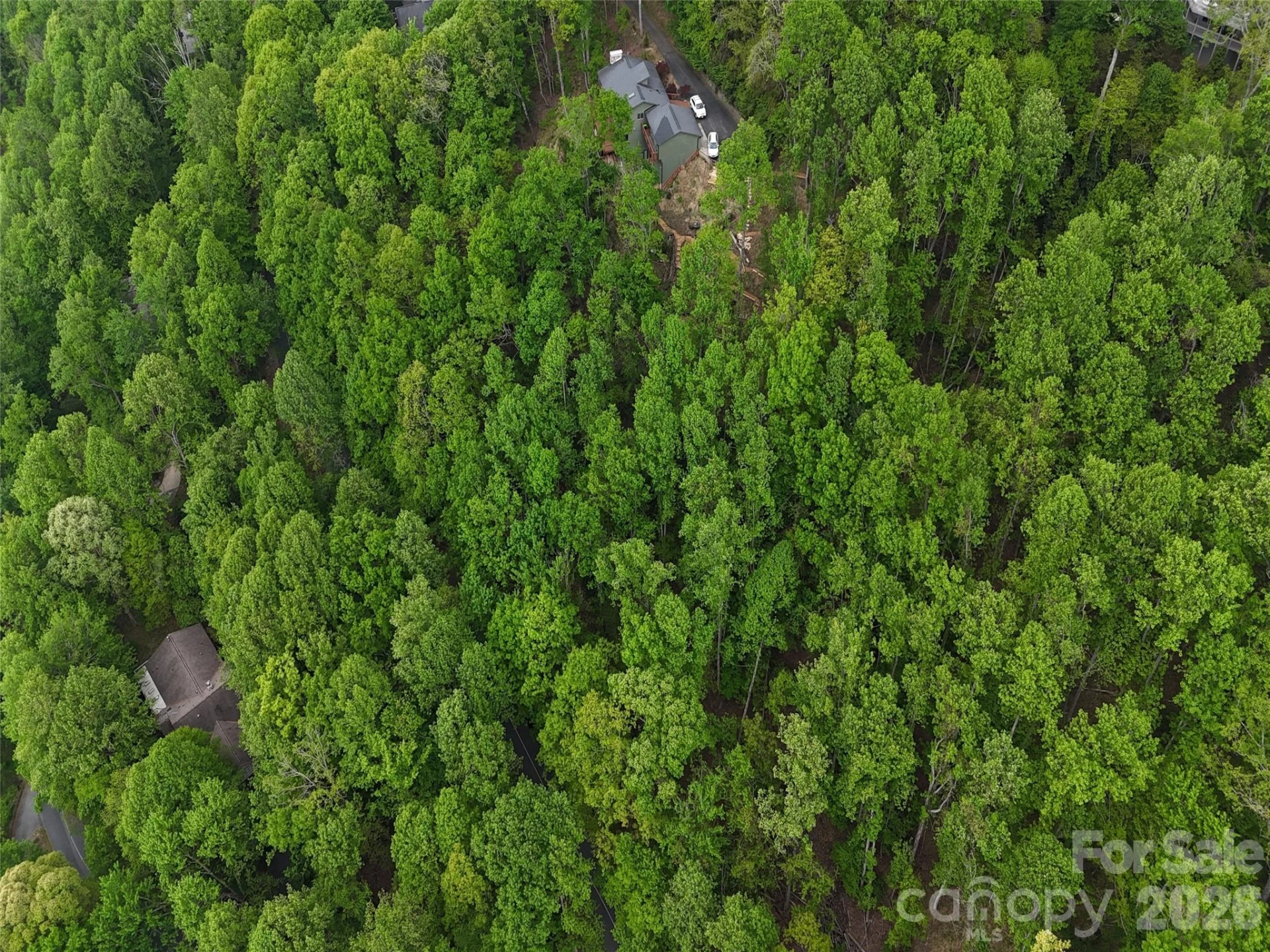 Lot #117 Honey Locust Drive #Lot #117 - Photo 10