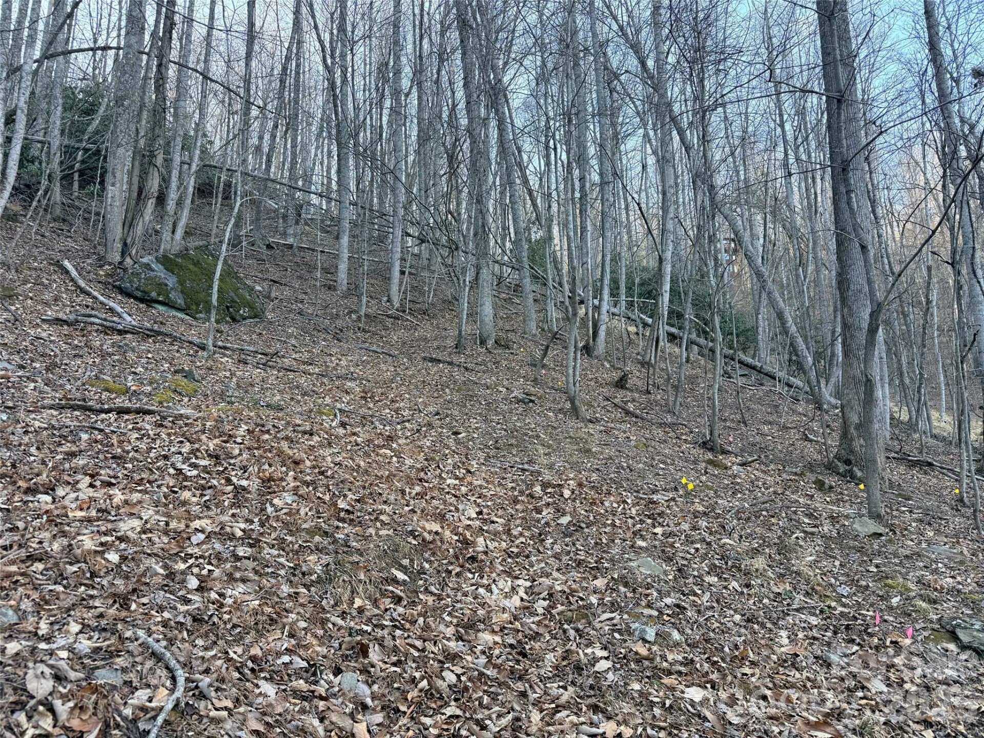 Lot #117 Honey Locust Drive #Lot #117 - Photo 7