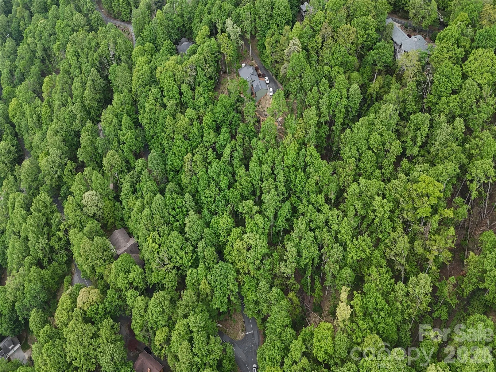 Lot #117 Honey Locust Drive #Lot #117 - Photo 12