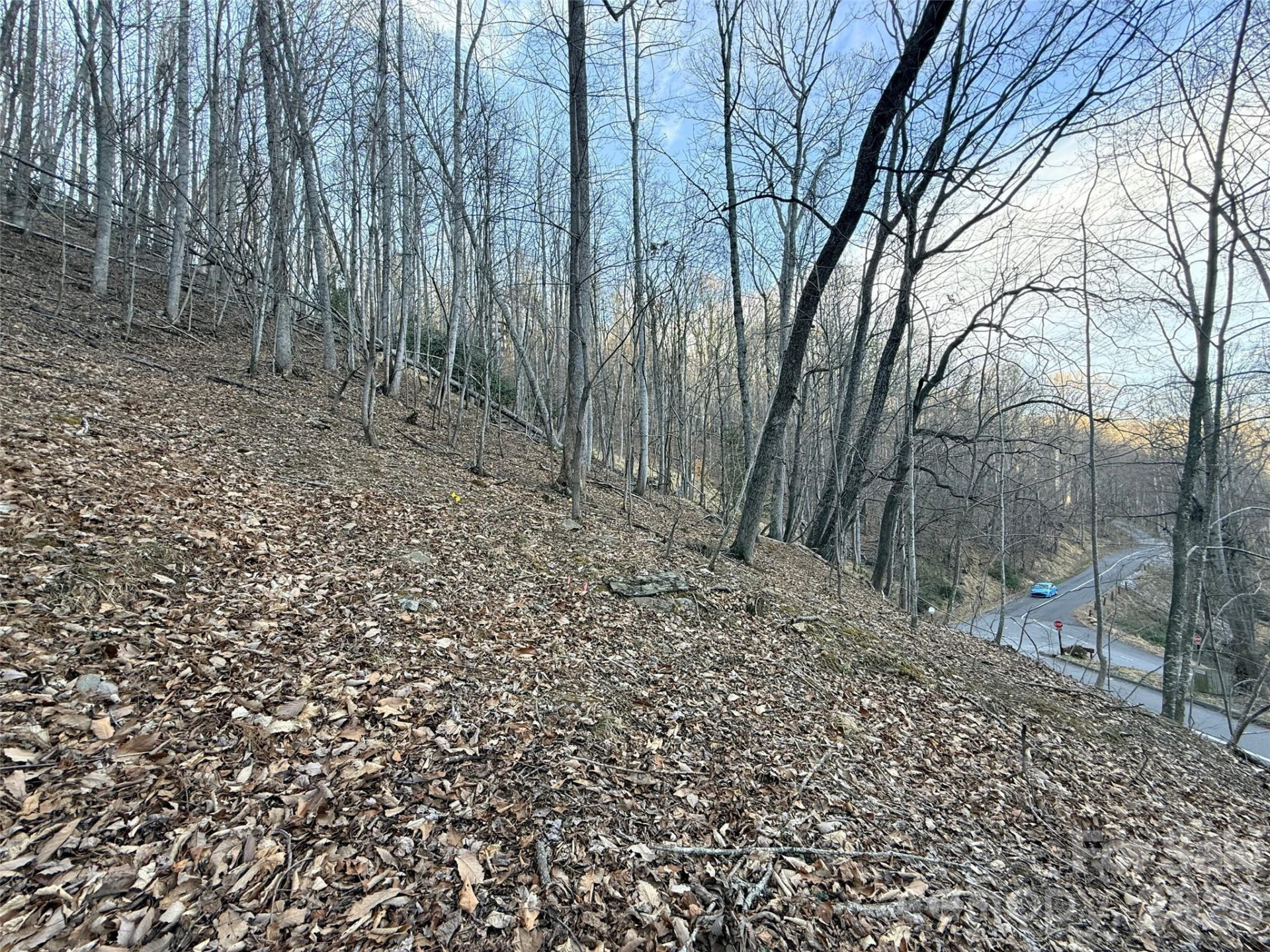 Lot #117 Honey Locust Drive #Lot #117 - Photo 8