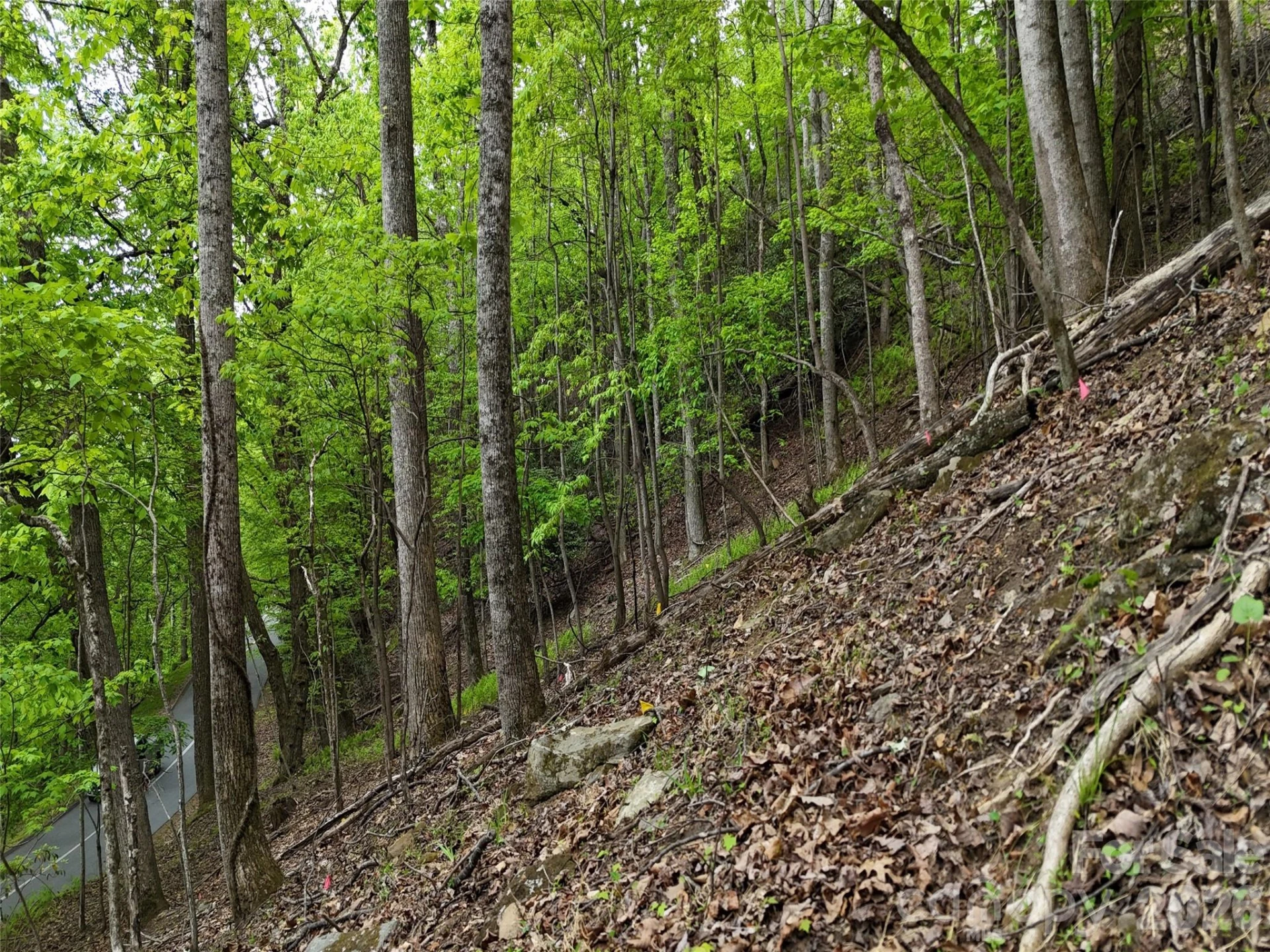 Lot #117 Honey Locust Drive #Lot #117 - Photo 16