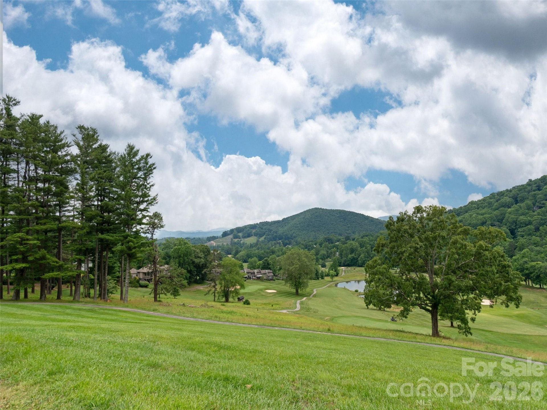 Lot #117 Honey Locust Drive #Lot #117 - Photo 10