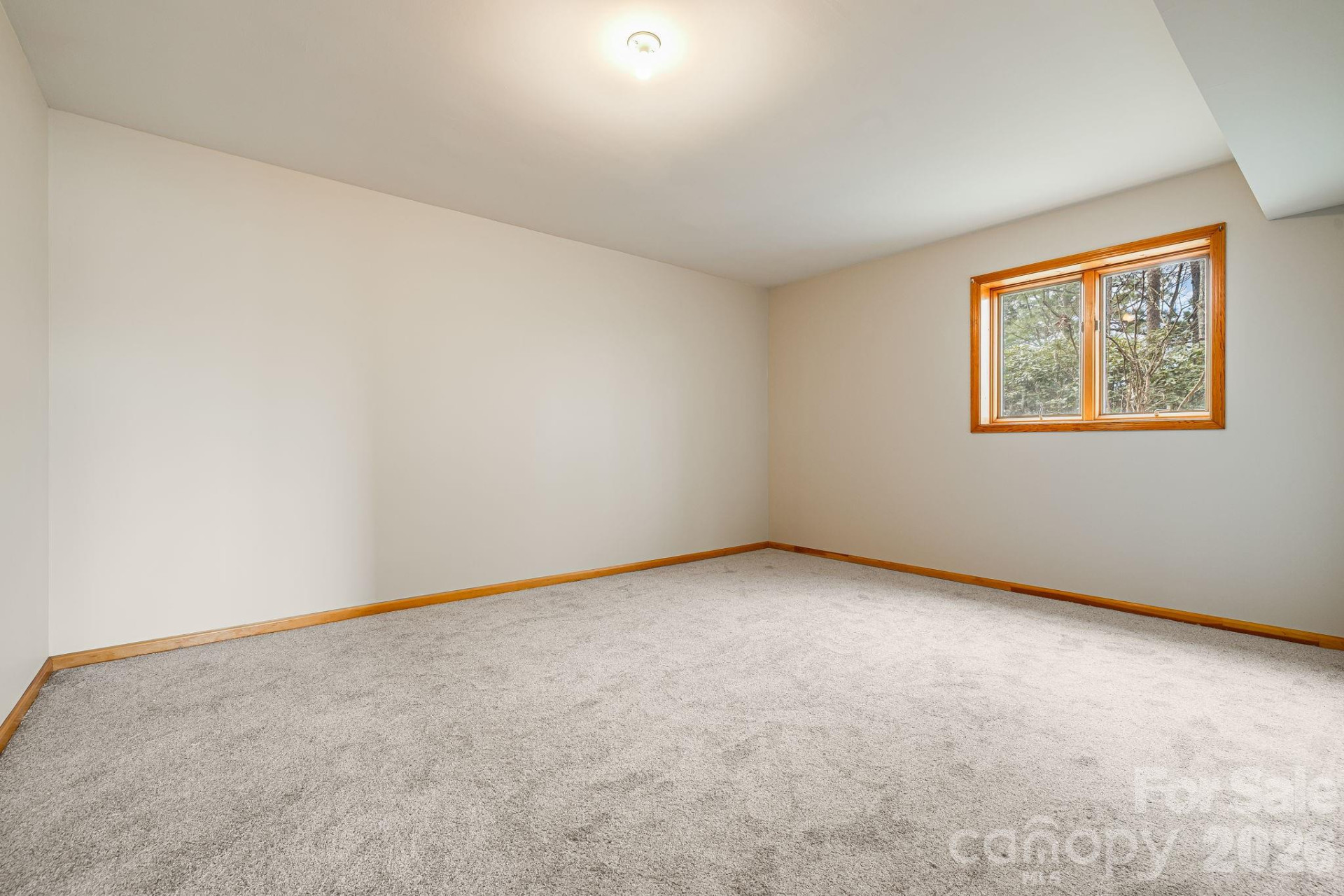 920 Morgan Drive - Photo 24