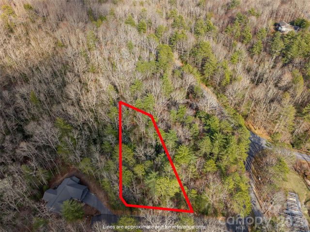 TBD Tsvwagi Court, Brevard, NC, 28712