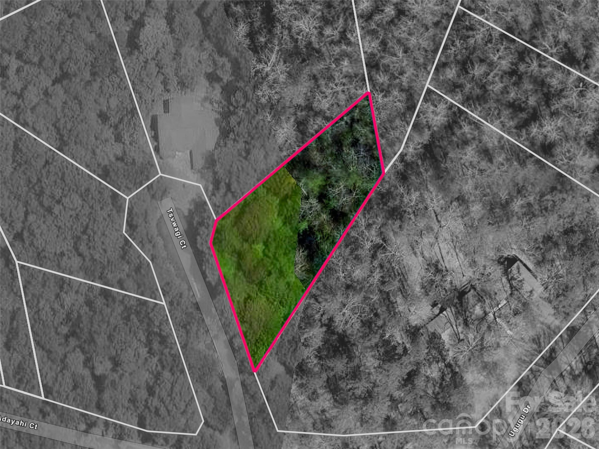 TBD Tsvwagi Court #2/25 - Photo 2