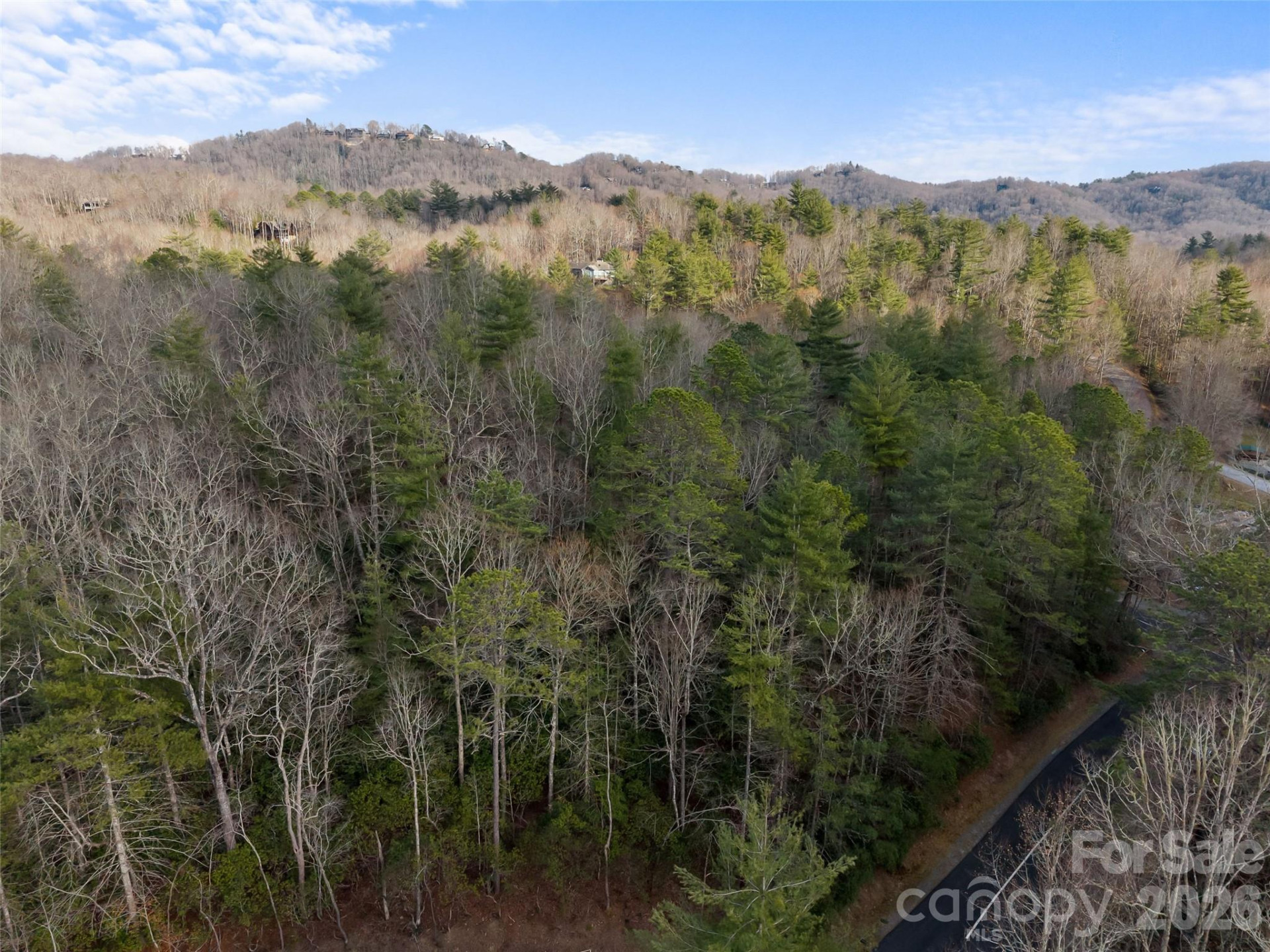 TBD Tsvwagi Court #2/25 - Photo 3