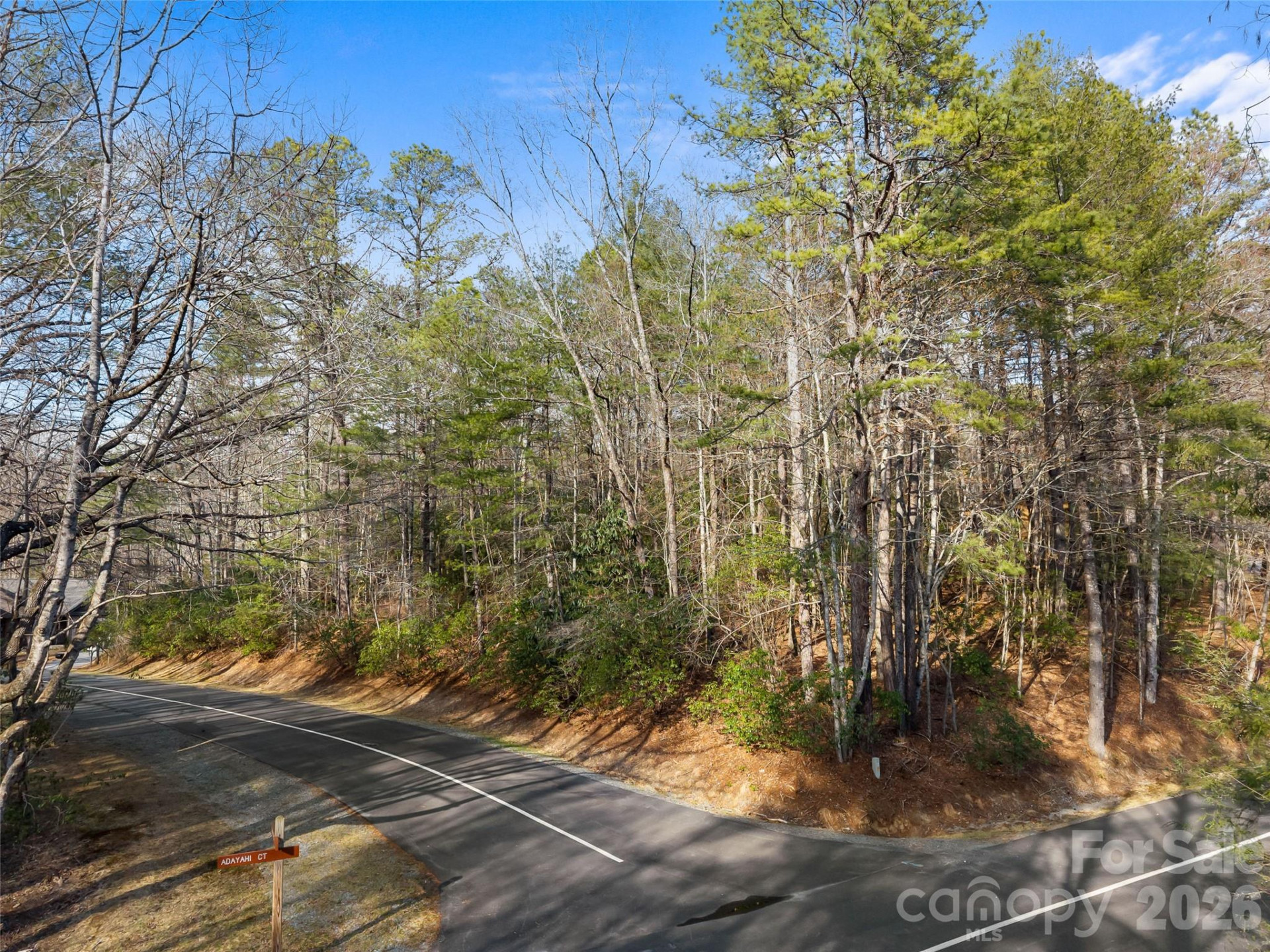 TBD Tsvwagi Court #2/25 - Photo 5