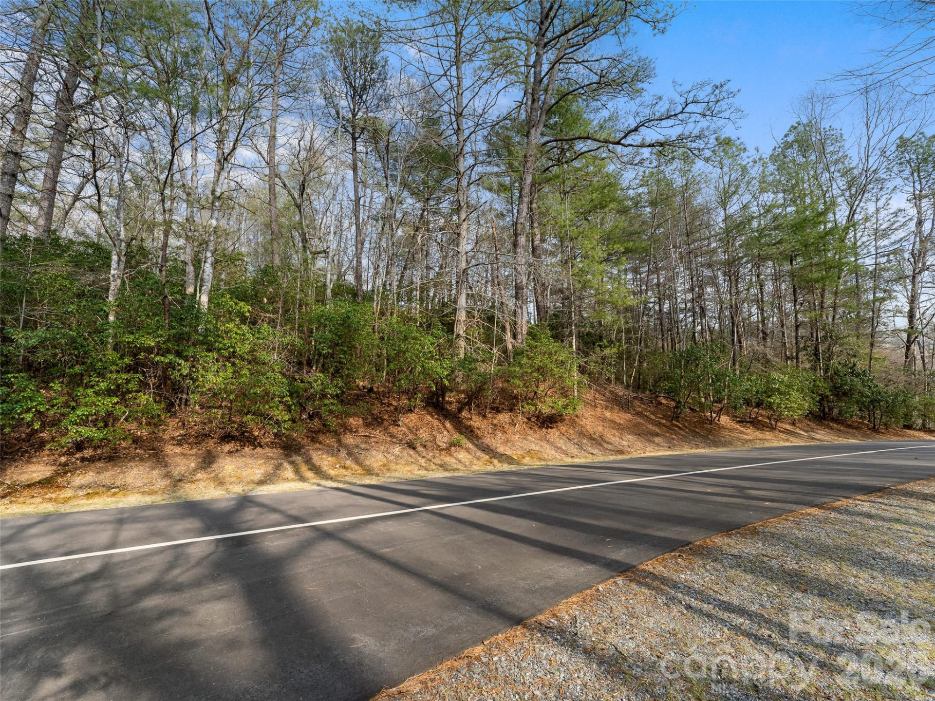 TBD Tsvwagi Court #2/25 - Photo 8