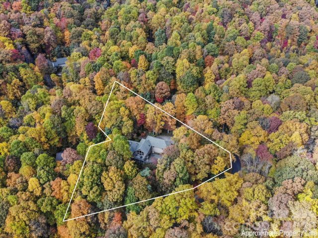 30 Laurel Branch Drive, Black Mountain, NC, 28711