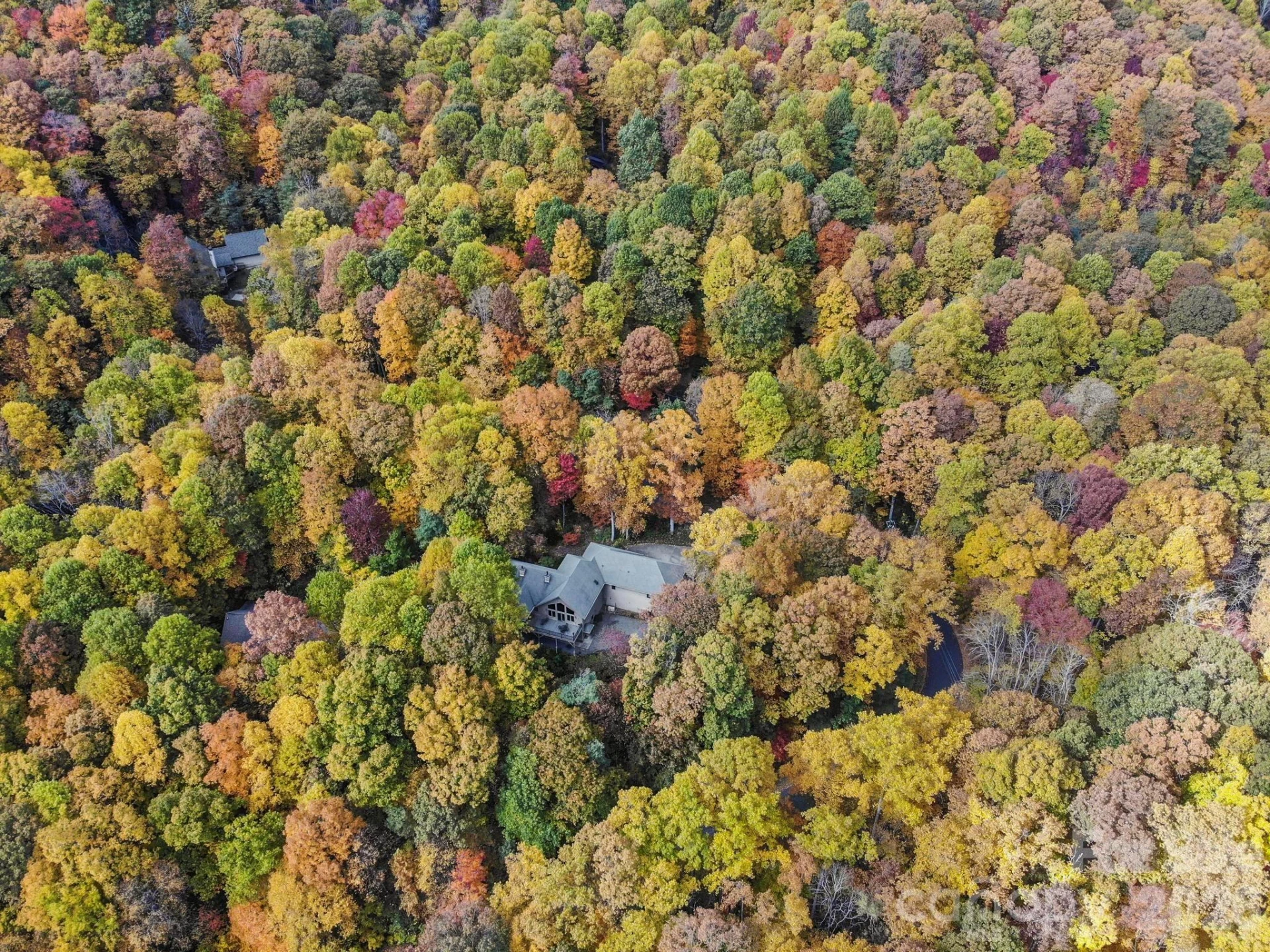 30 Laurel Branch Drive - Photo 4