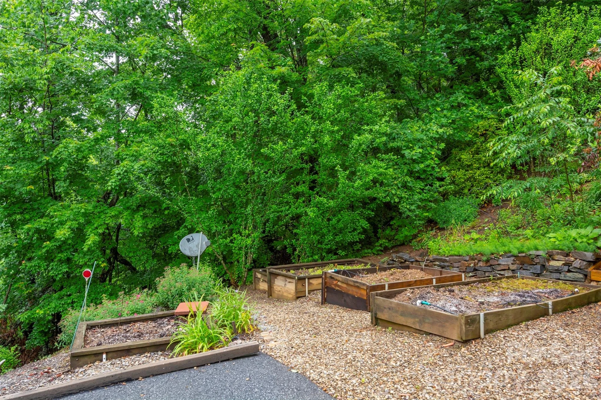 204 Briarcliff None #5 - Photo 31