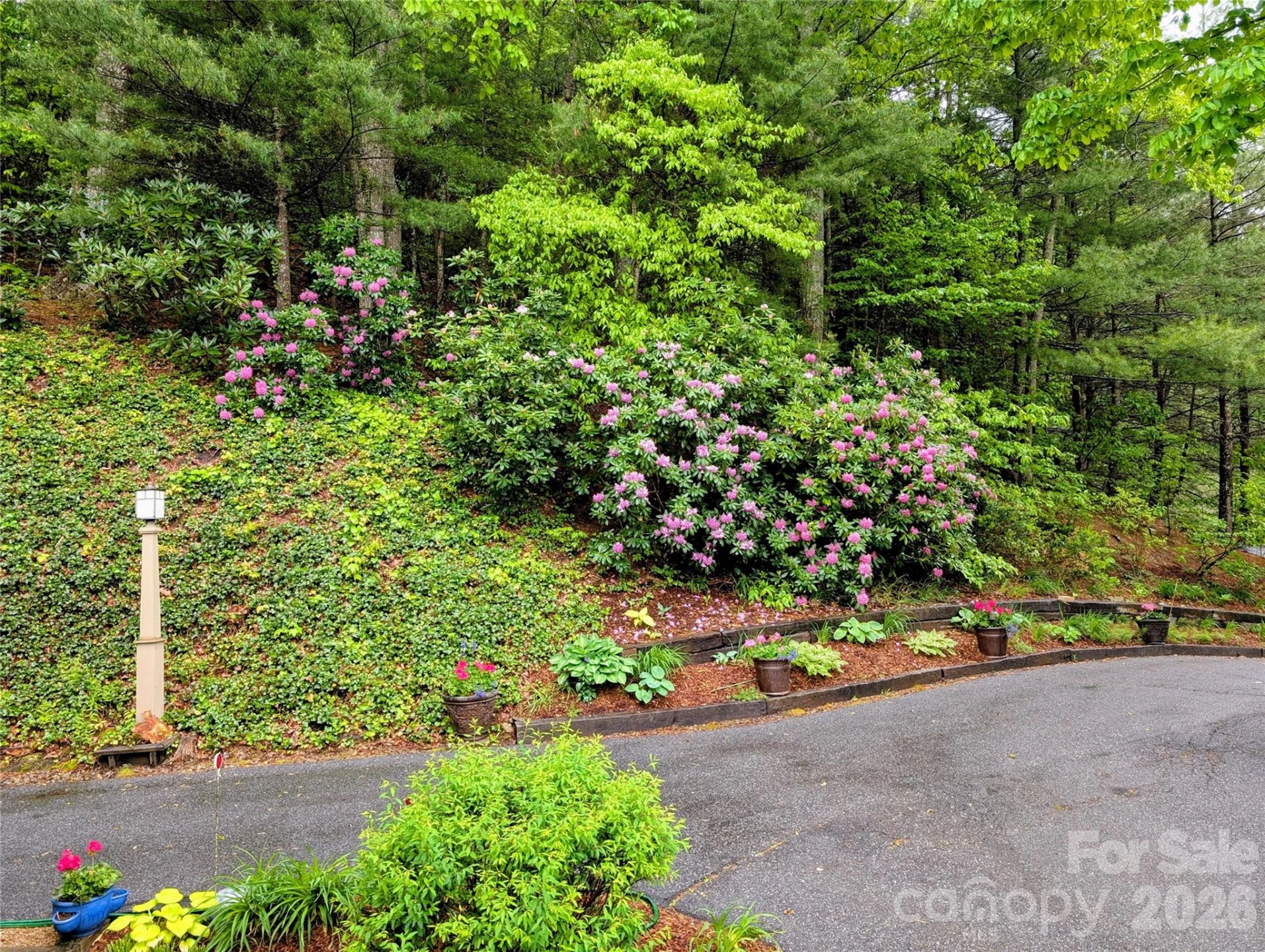 204 Briarcliff None #5 - Photo 33