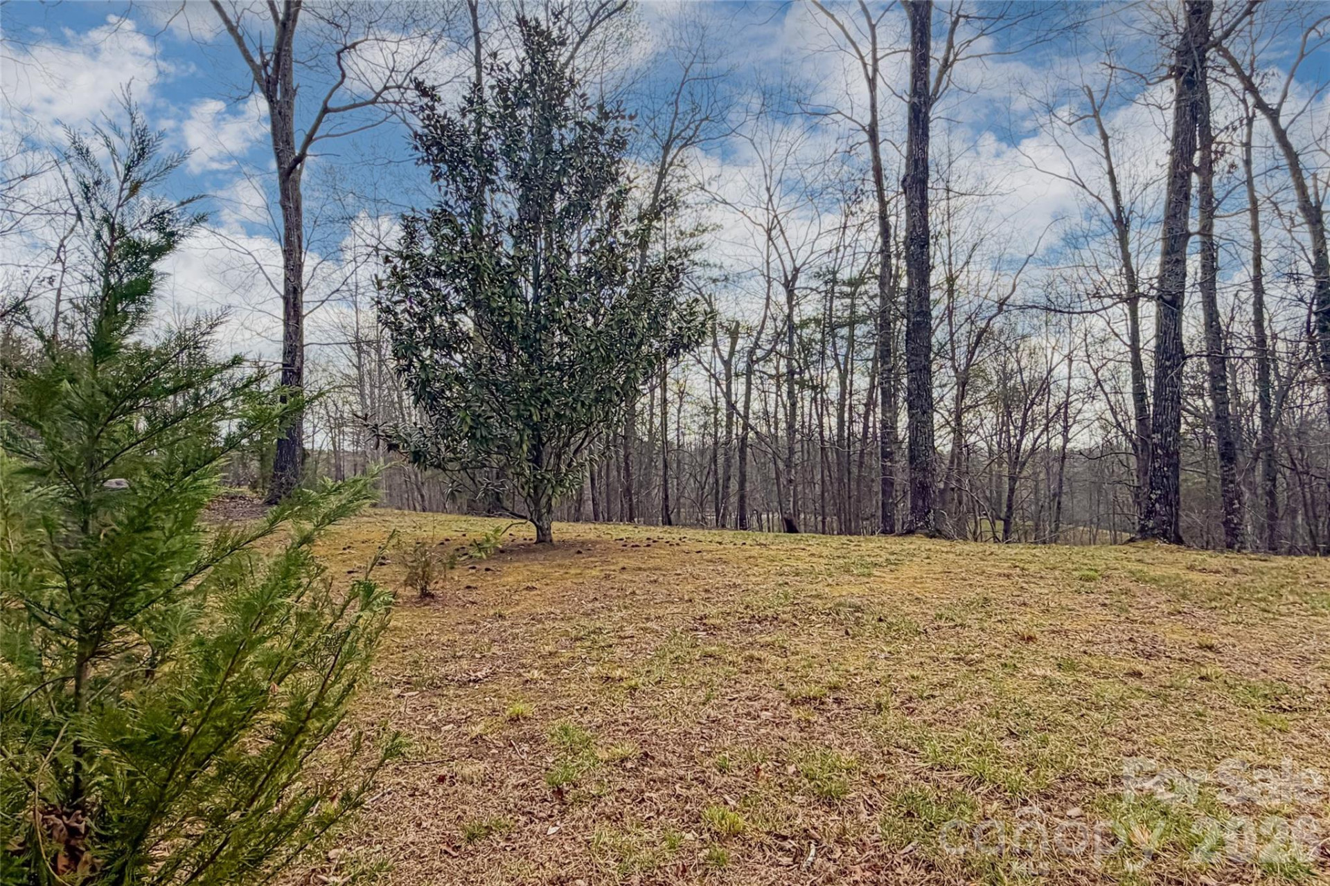 117 Boundary Road - Photo 4