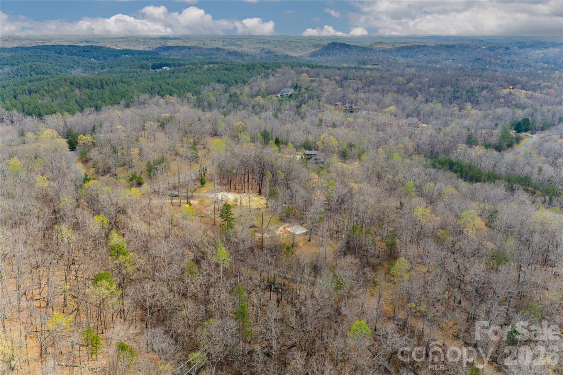 117 Boundary Road - Photo 6