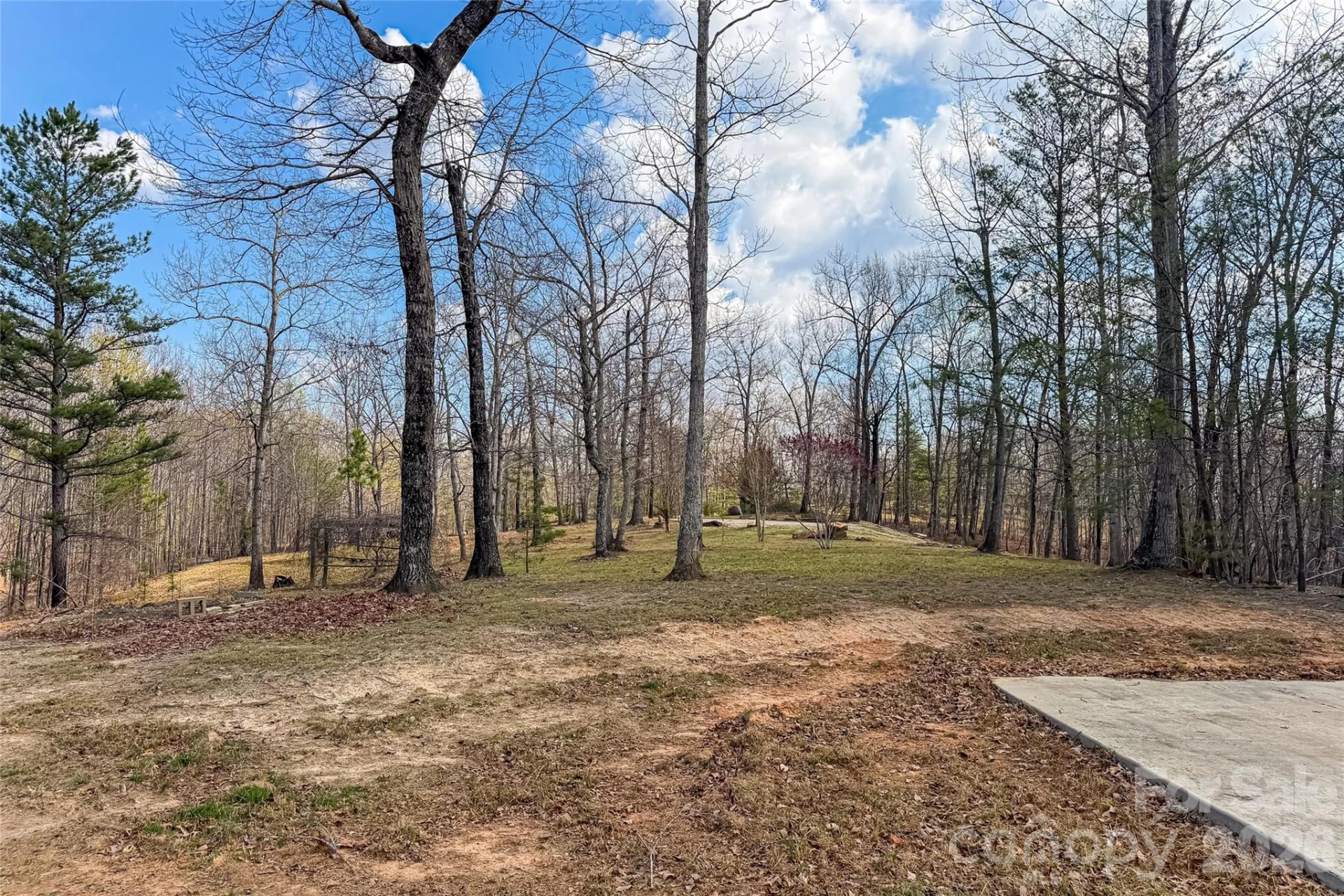 117 Boundary Road - Photo 7
