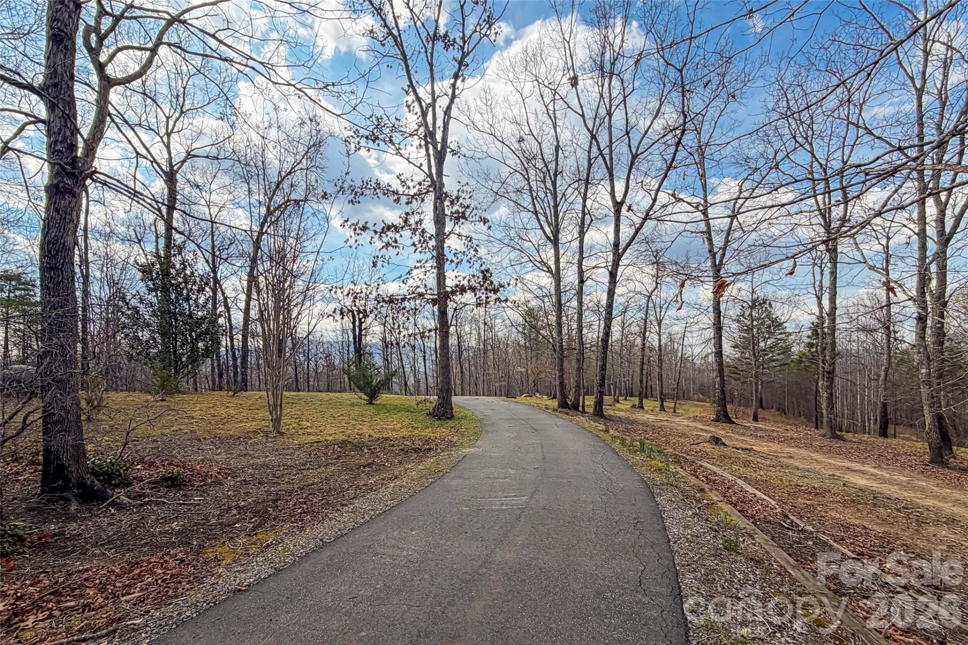 117 Boundary Road - Photo 8