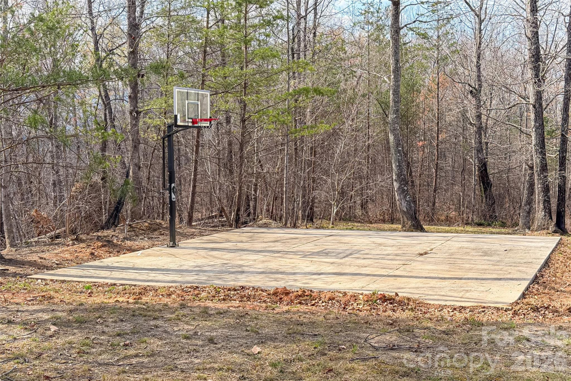 117 Boundary Road - Photo 9