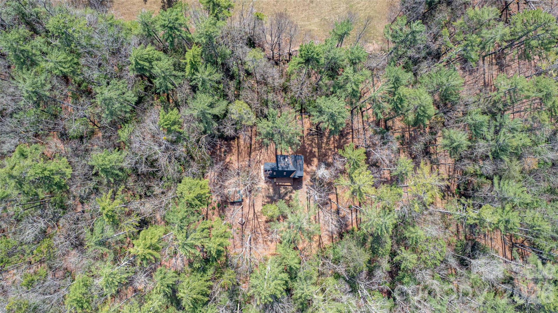 261 Maga Lane - Photo 32