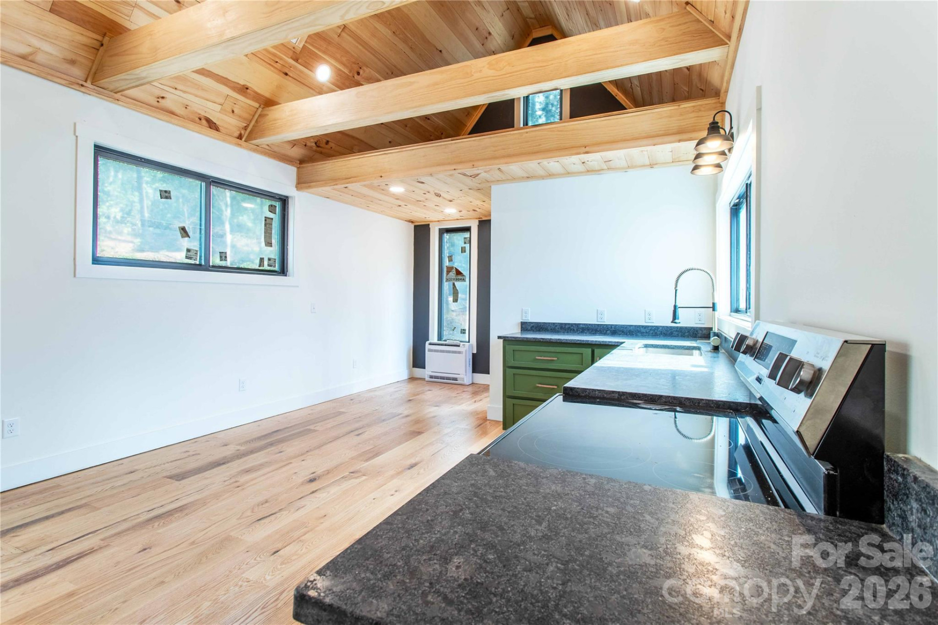 261 Maga Lane - Photo 5