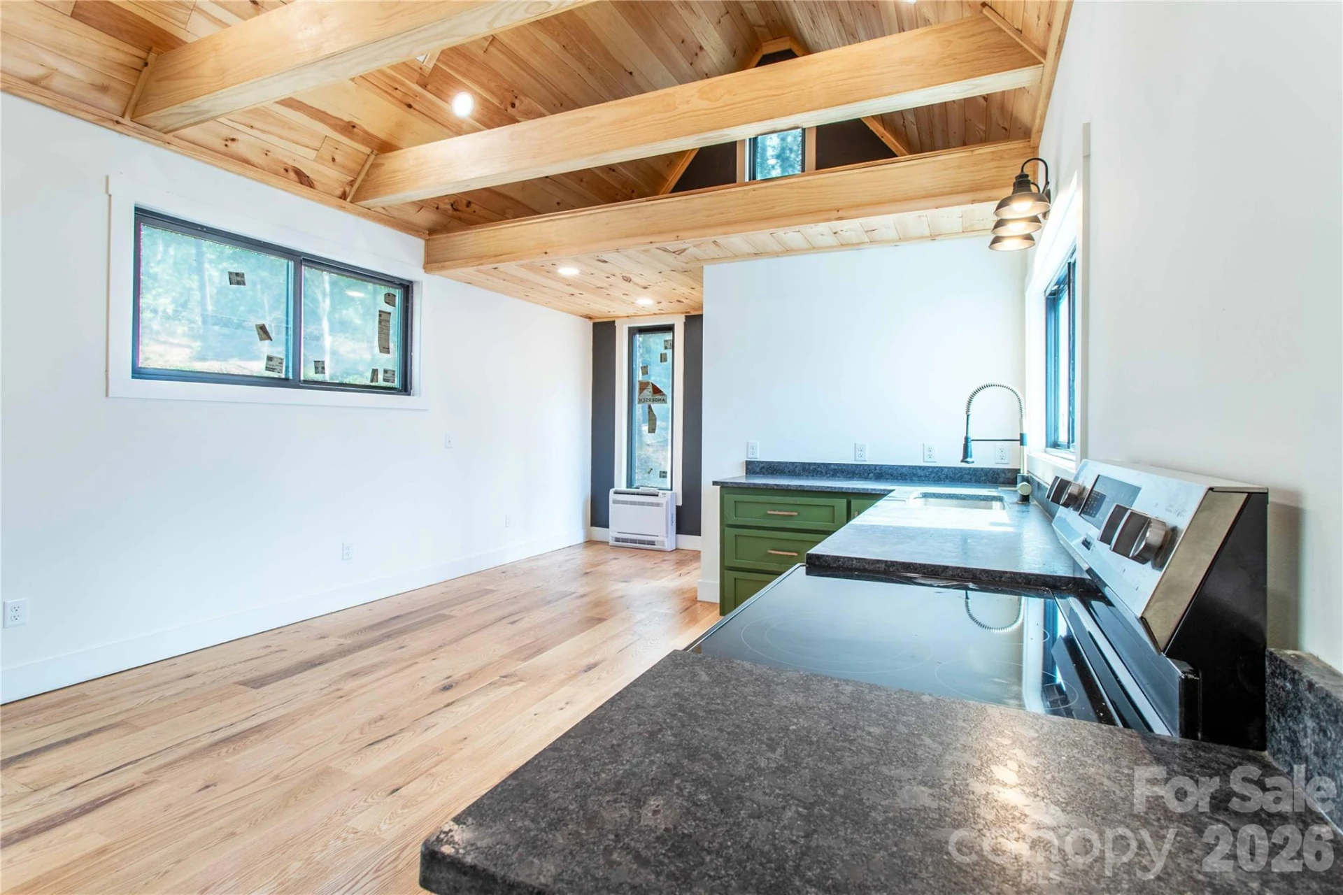261 Maga Lane - Photo 5