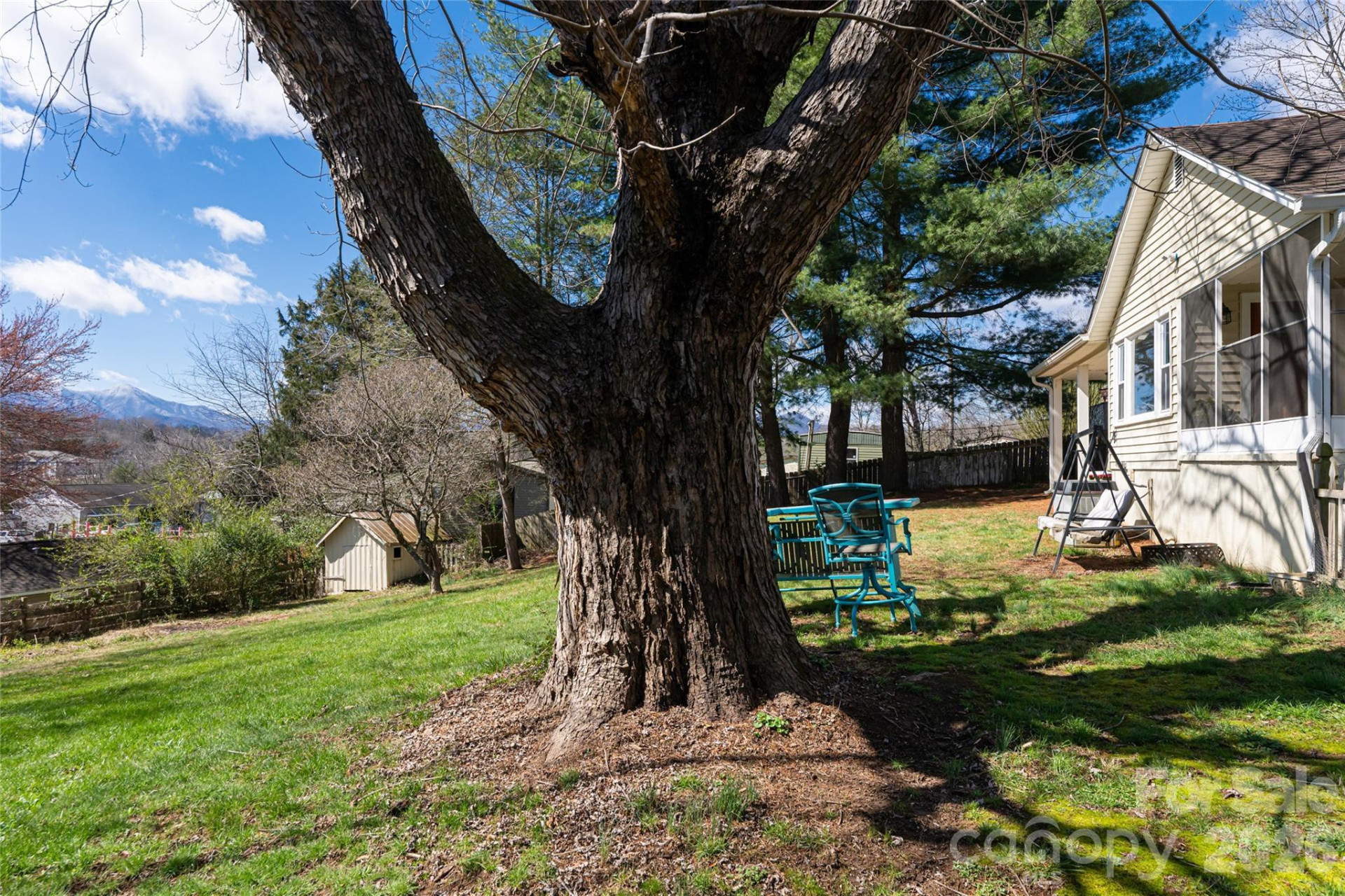 203 Pine Street - Photo 28