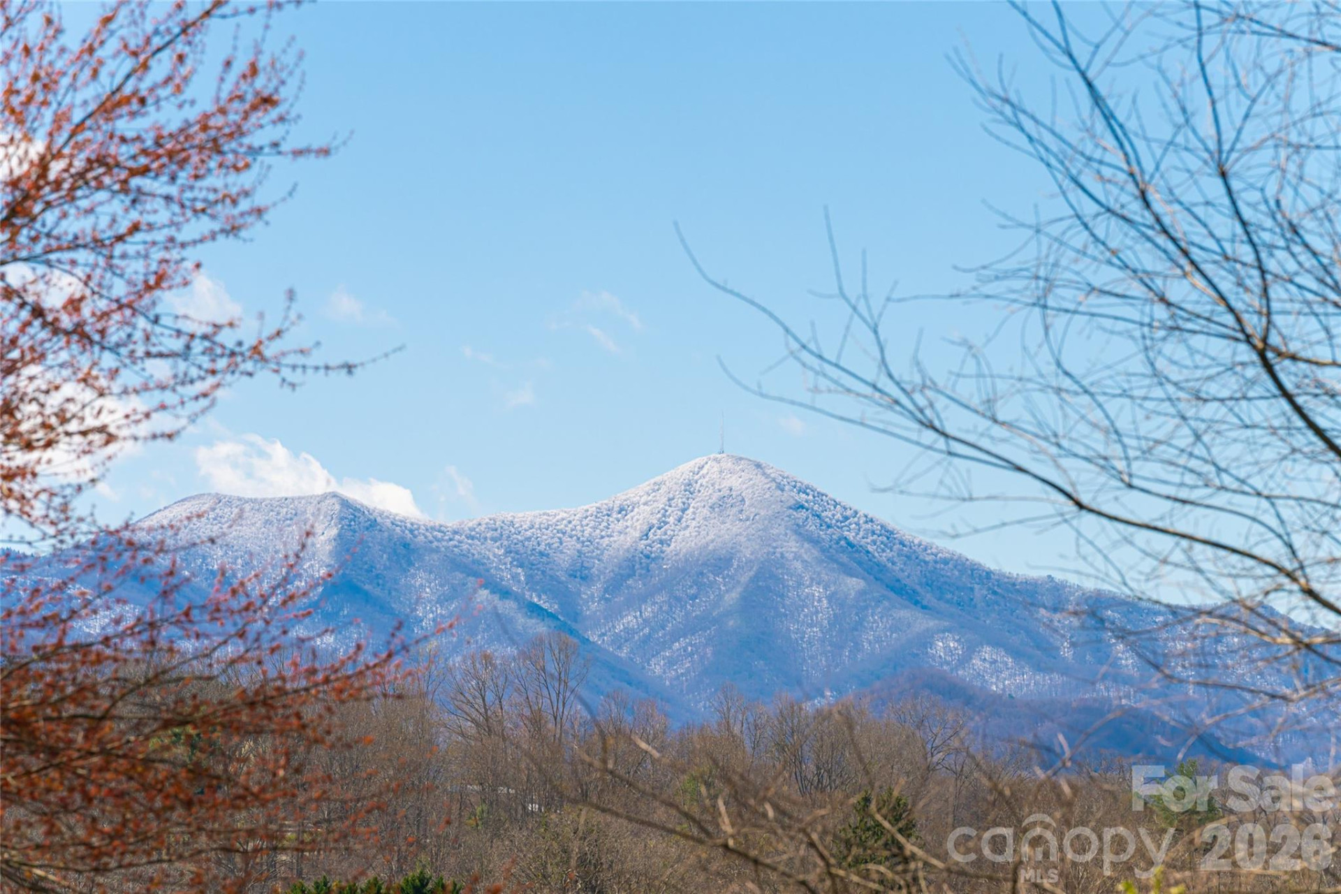 203 Pine Street - Photo 31