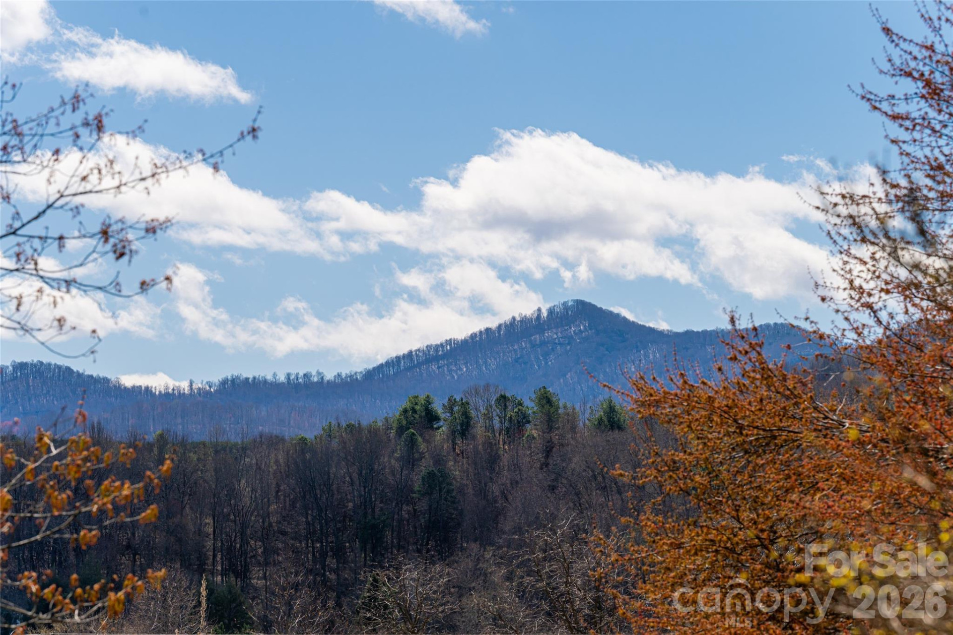 203 Pine Street - Photo 37