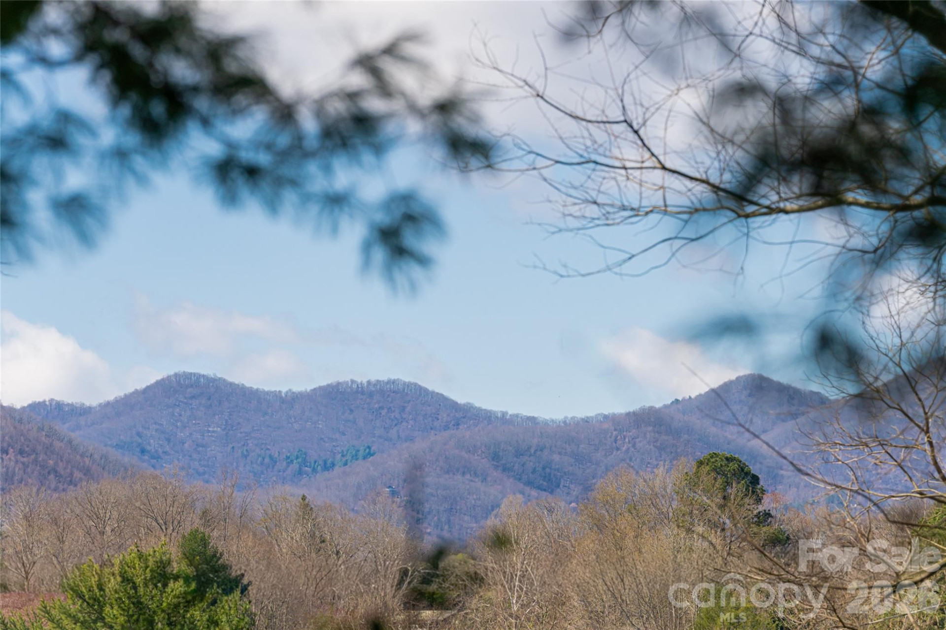 203 Pine Street - Photo 38