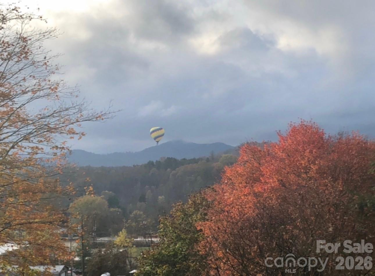 203 Pine Street - Photo 40