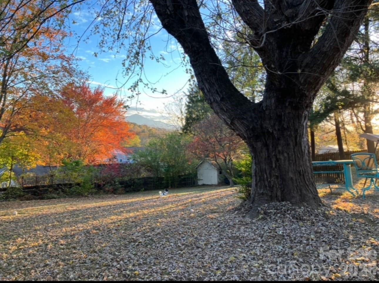 203 Pine Street - Photo 42