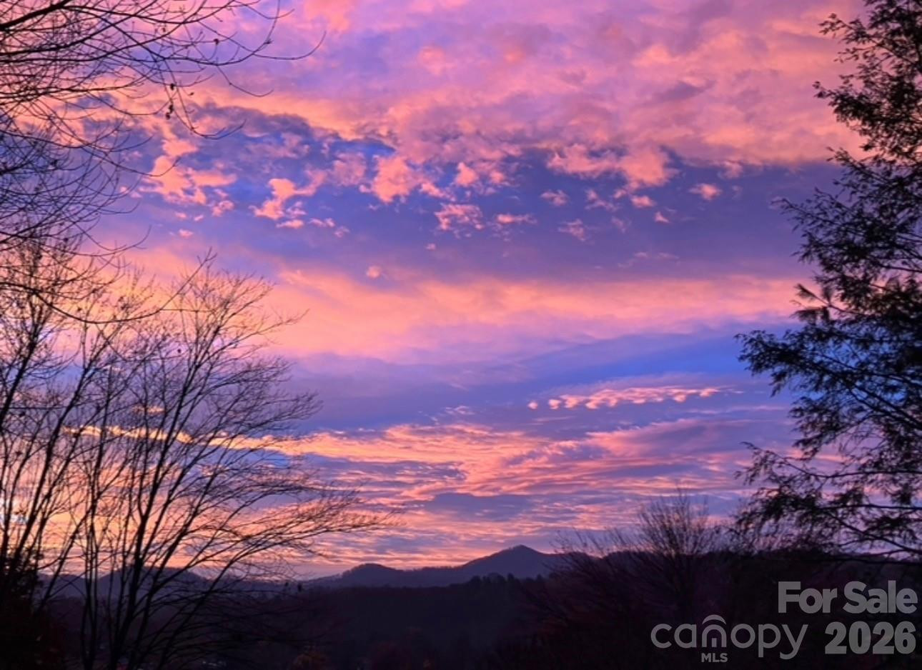 203 Pine Street - Photo 43