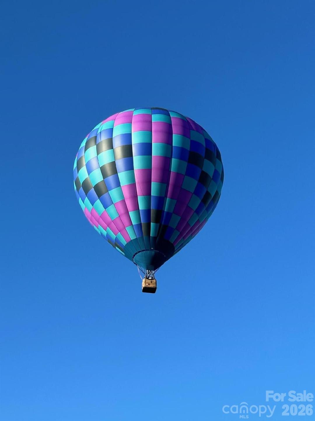 203 Pine Street - Photo 44