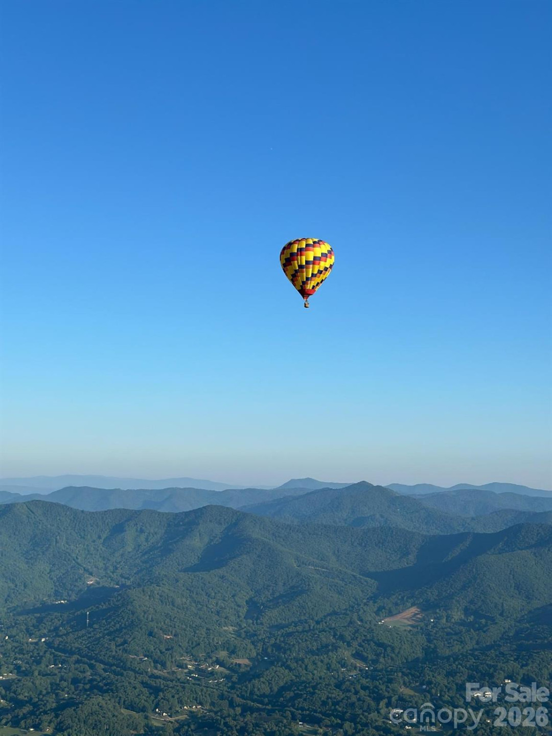 203 Pine Street - Photo 46