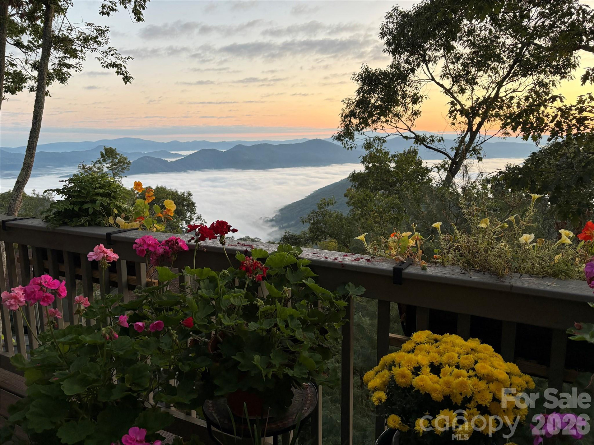 133 Club House Drive #4B - Photo 2