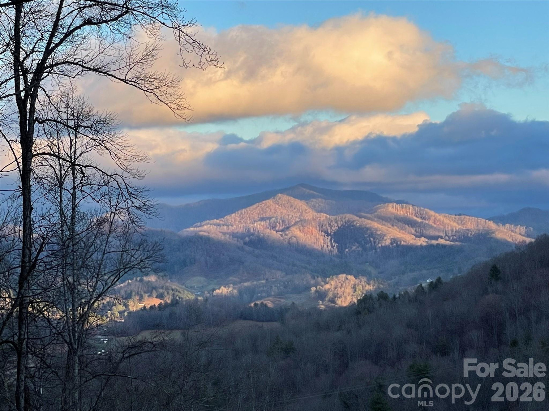 133 Club House Drive #4B - Photo 30