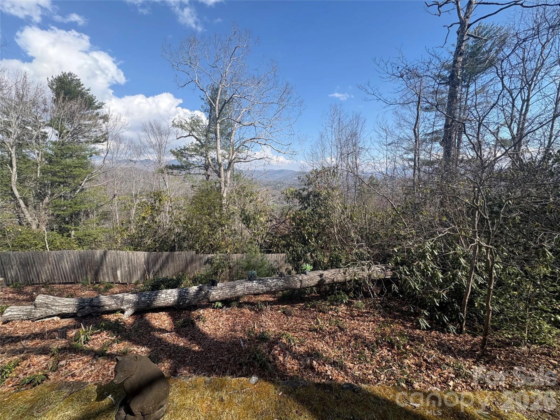 126 Ridgeview Road - Photo 40