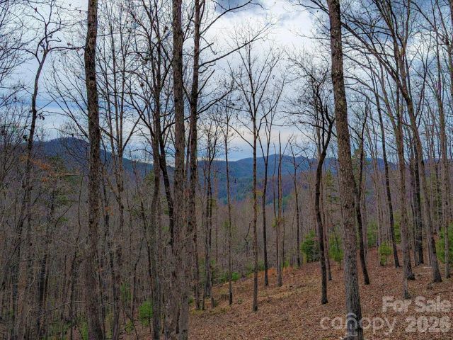 51 Wild Turkey Loop, Marshall, NC, 28753