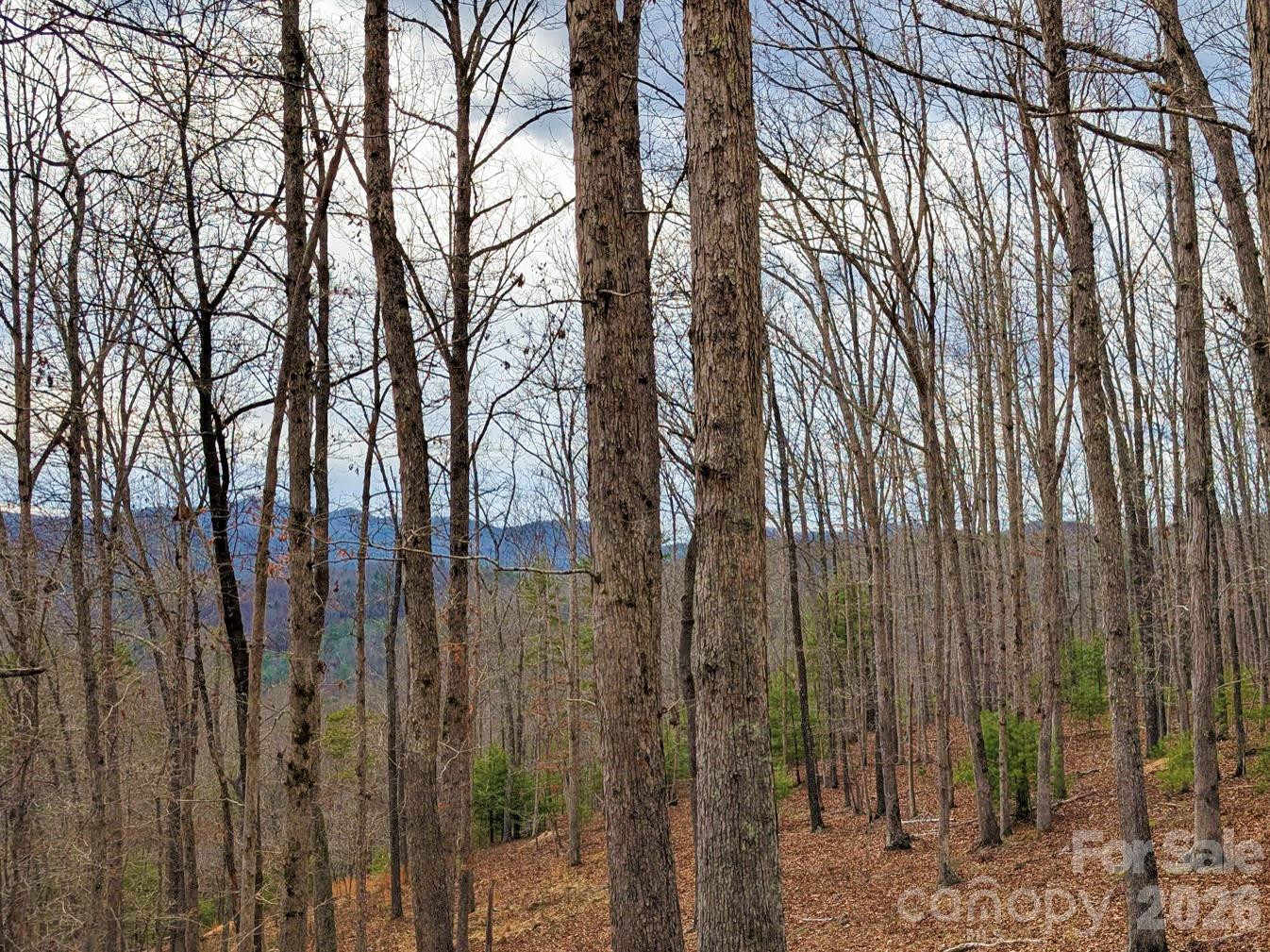 51 Wild Turkey Loop #32 - Photo 11