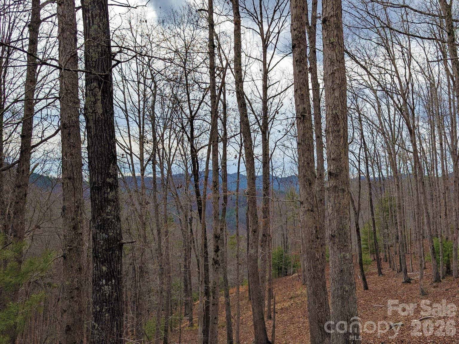 51 Wild Turkey Loop #32 - Photo 12