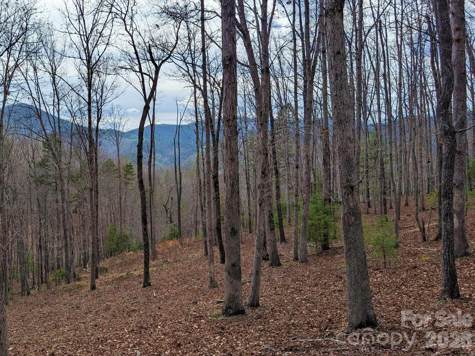 51 Wild Turkey Loop #32 - Photo 13