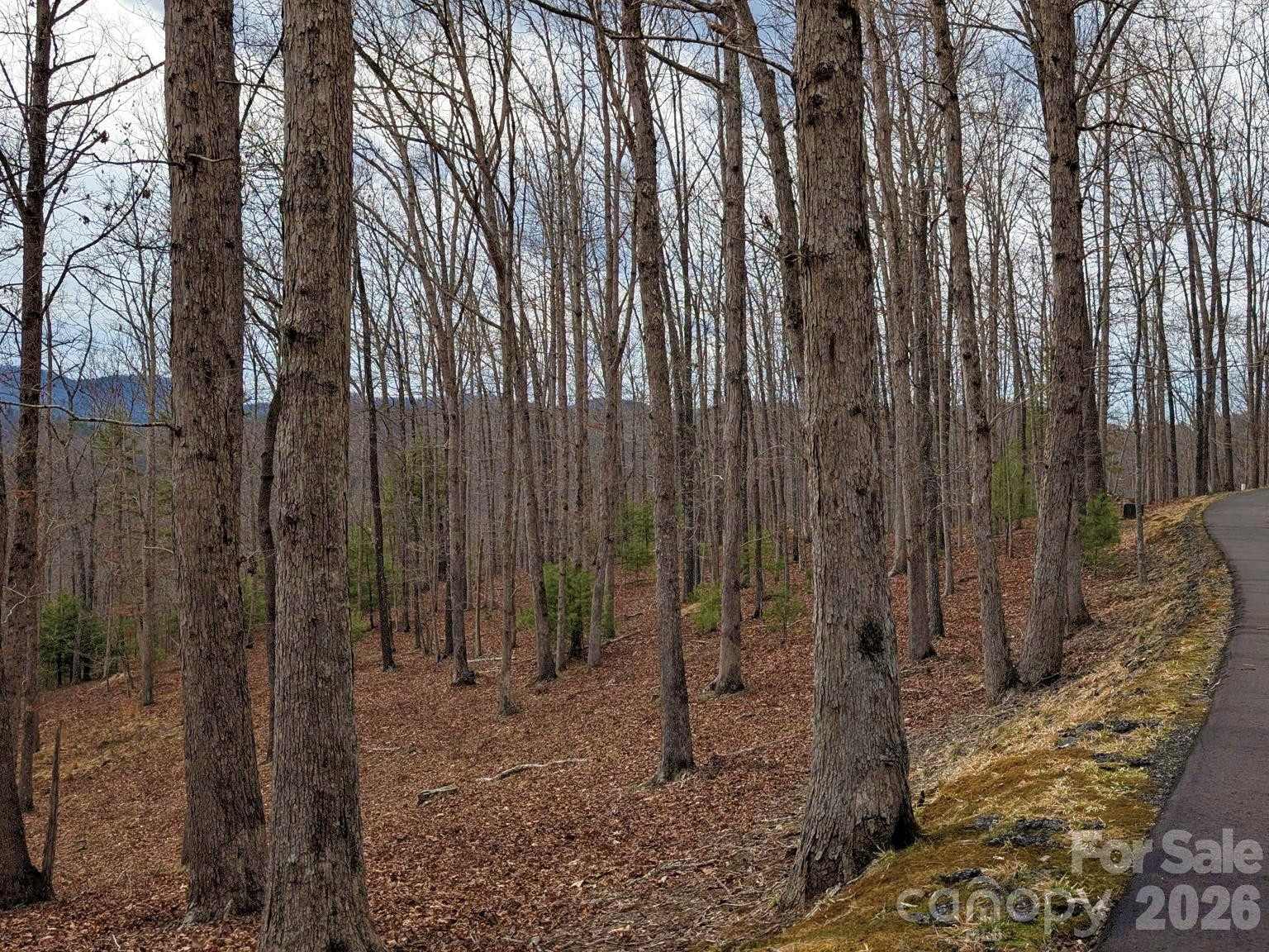 51 Wild Turkey Loop #32 - Photo 14