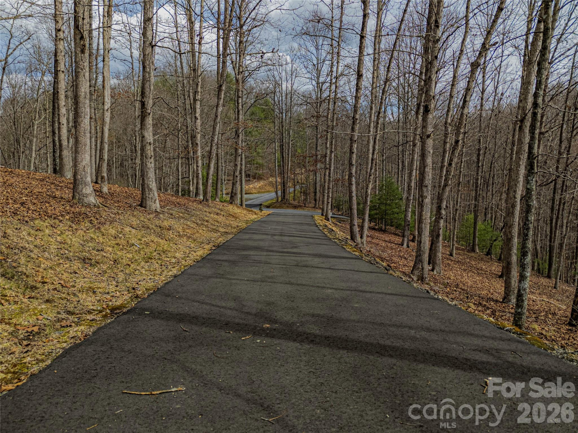 51 Wild Turkey Loop #32 - Photo 15