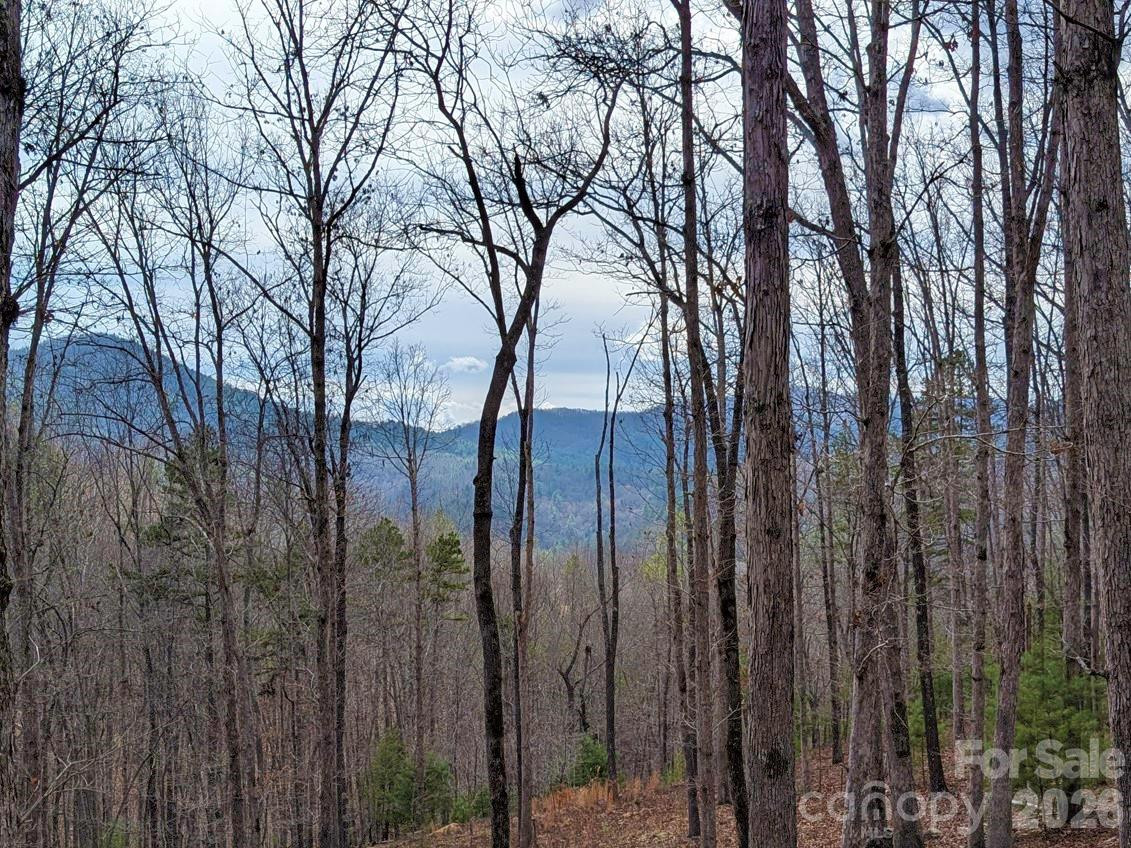 51 Wild Turkey Loop #32 - Photo 3