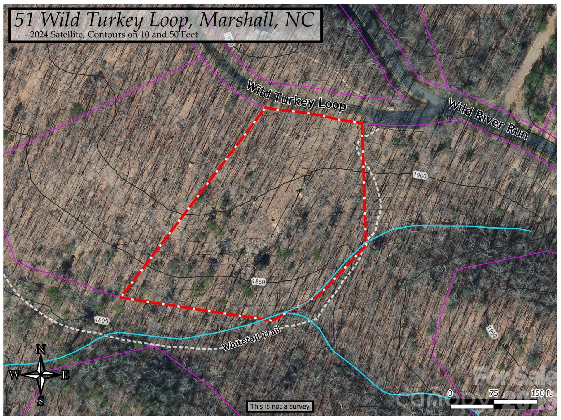 51 Wild Turkey Loop #32 - Photo 31