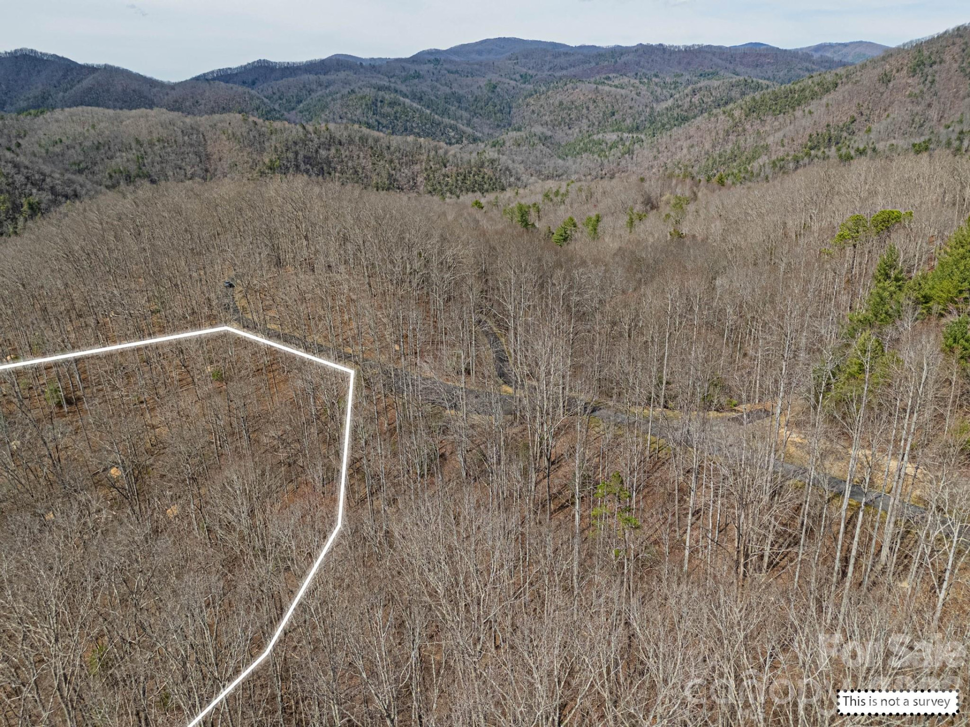 51 Wild Turkey Loop #32 - Photo 32