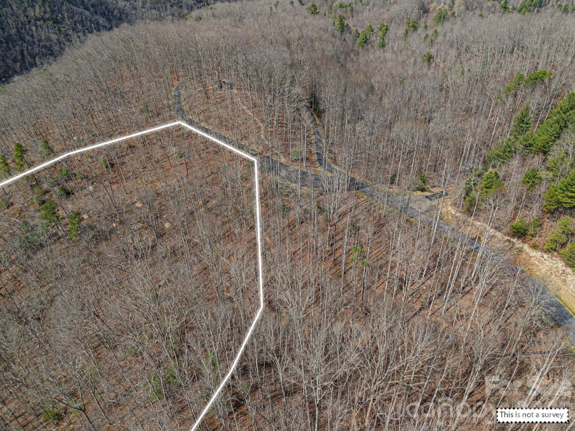 51 Wild Turkey Loop #32 - Photo 33