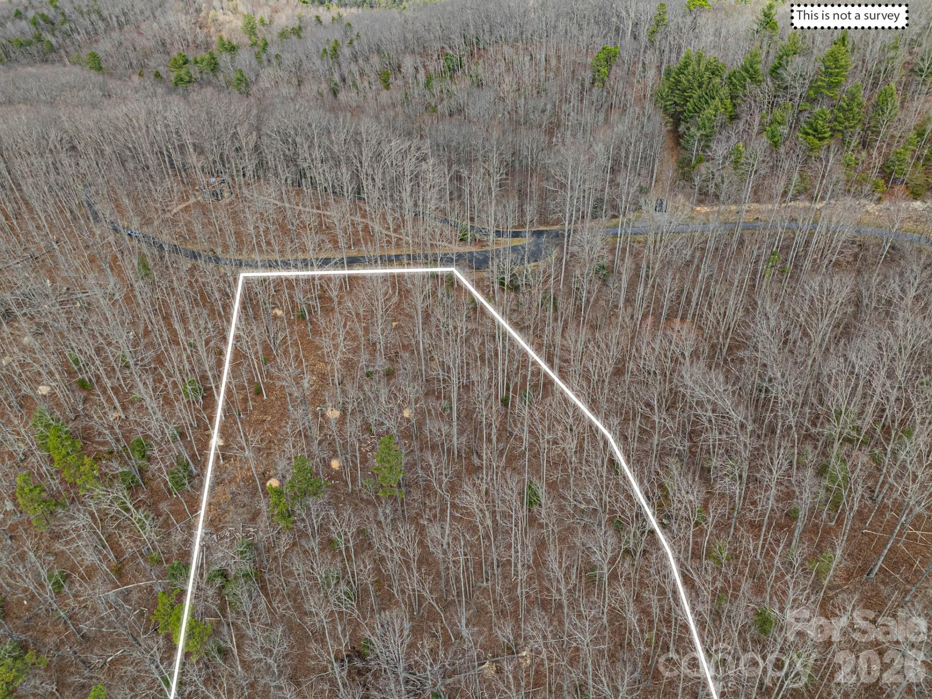 51 Wild Turkey Loop #32 - Photo 34