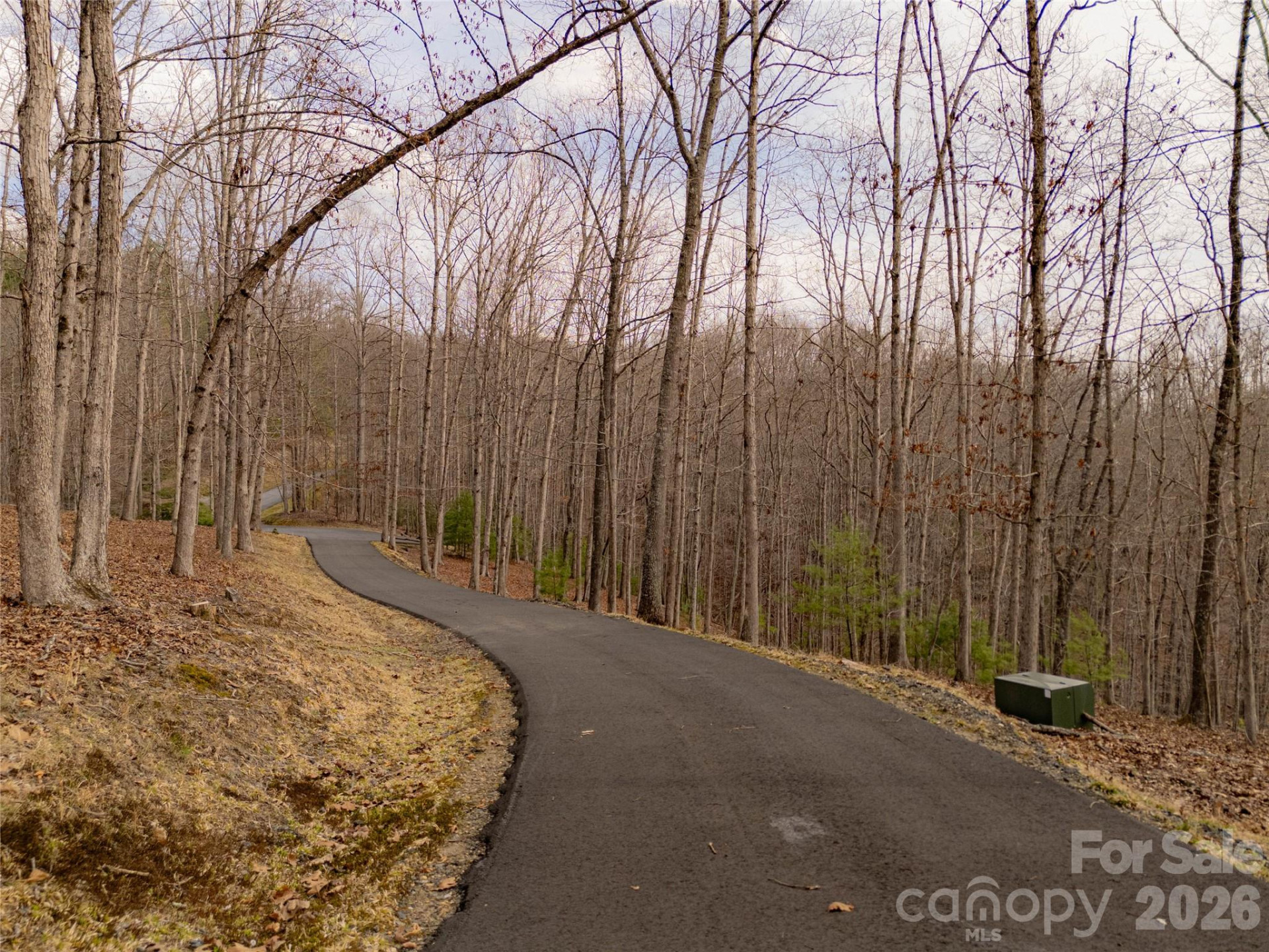 51 Wild Turkey Loop #32 - Photo 7