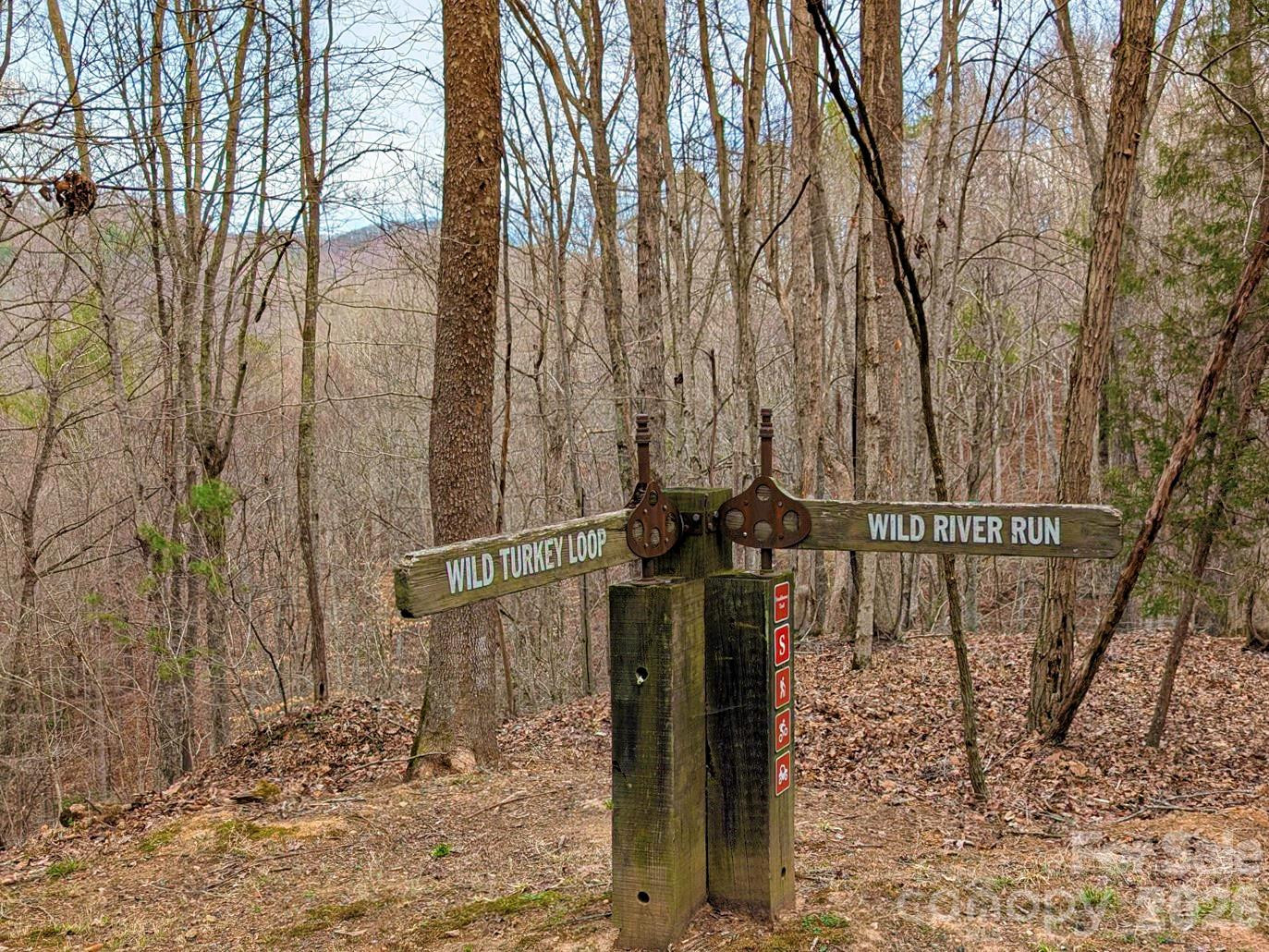 51 Wild Turkey Loop #32 - Photo 9