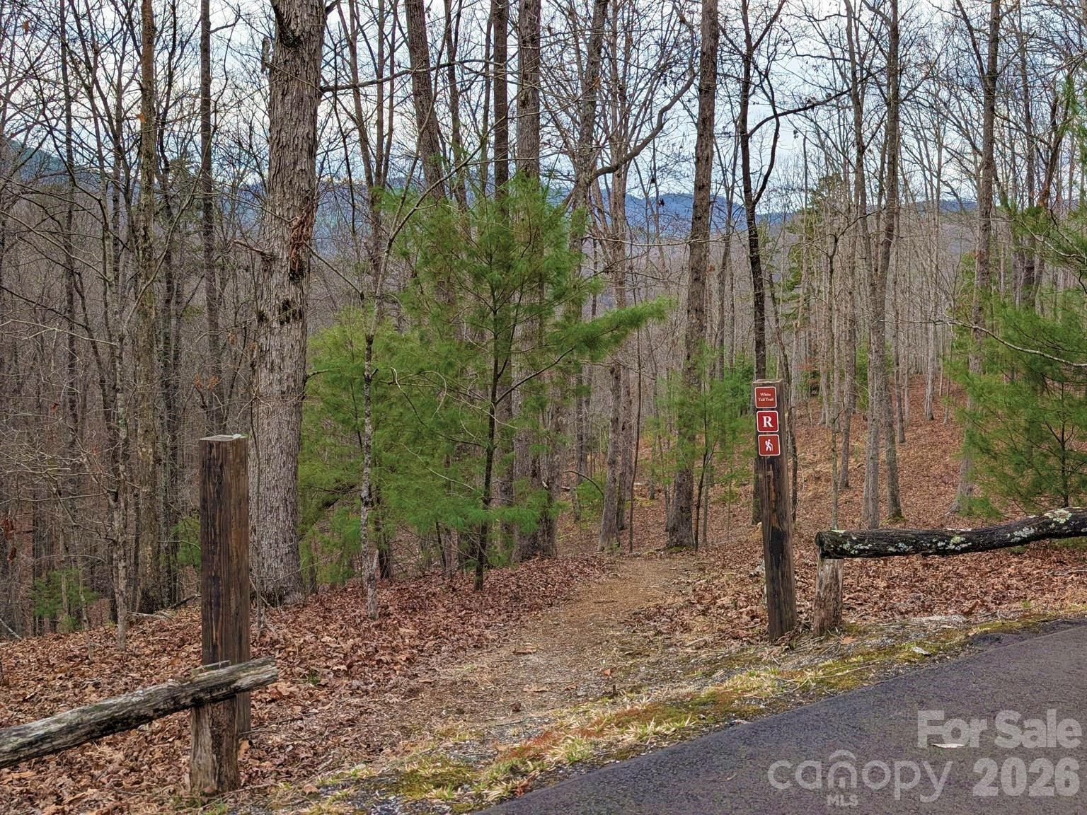 51 Wild Turkey Loop #32 - Photo 10